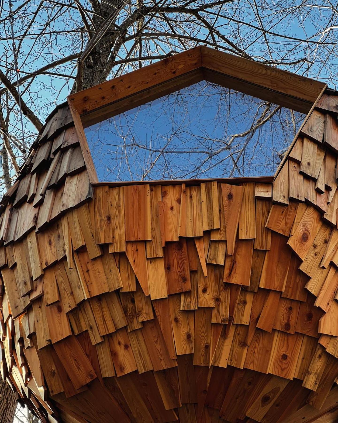 Отель T'Glamp Bee House Rovte Экстерьер фото
